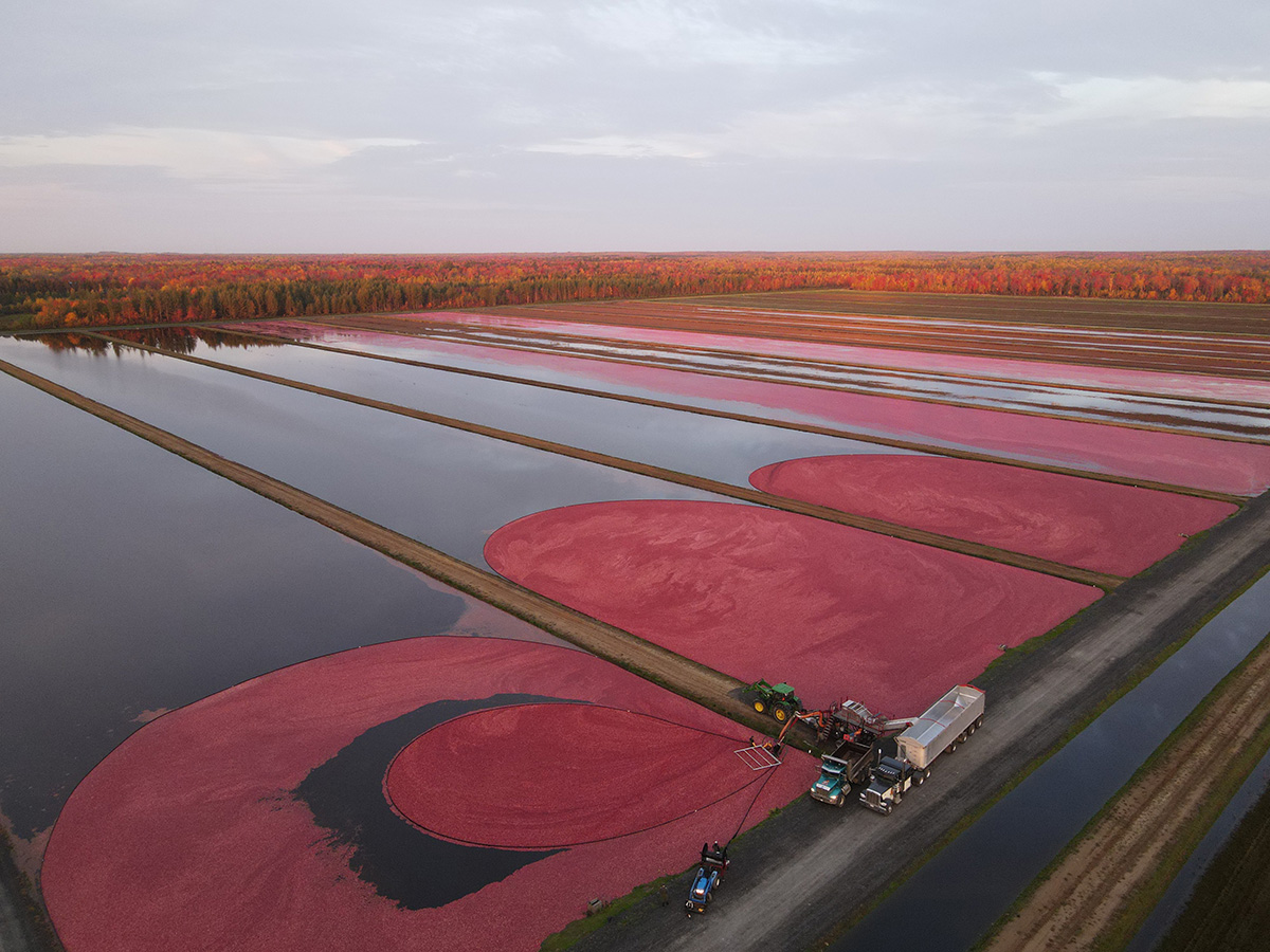 Valmetal – Automated and Mechanical Farming Equipment Valmetal – Automated and Mechanical Farming Equipment