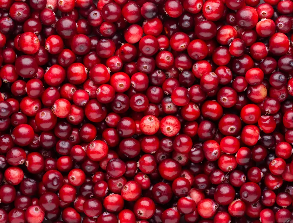 Cranberry crops