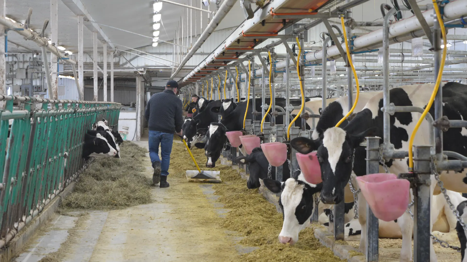 More frequent, more precise, and higher-performing feeding