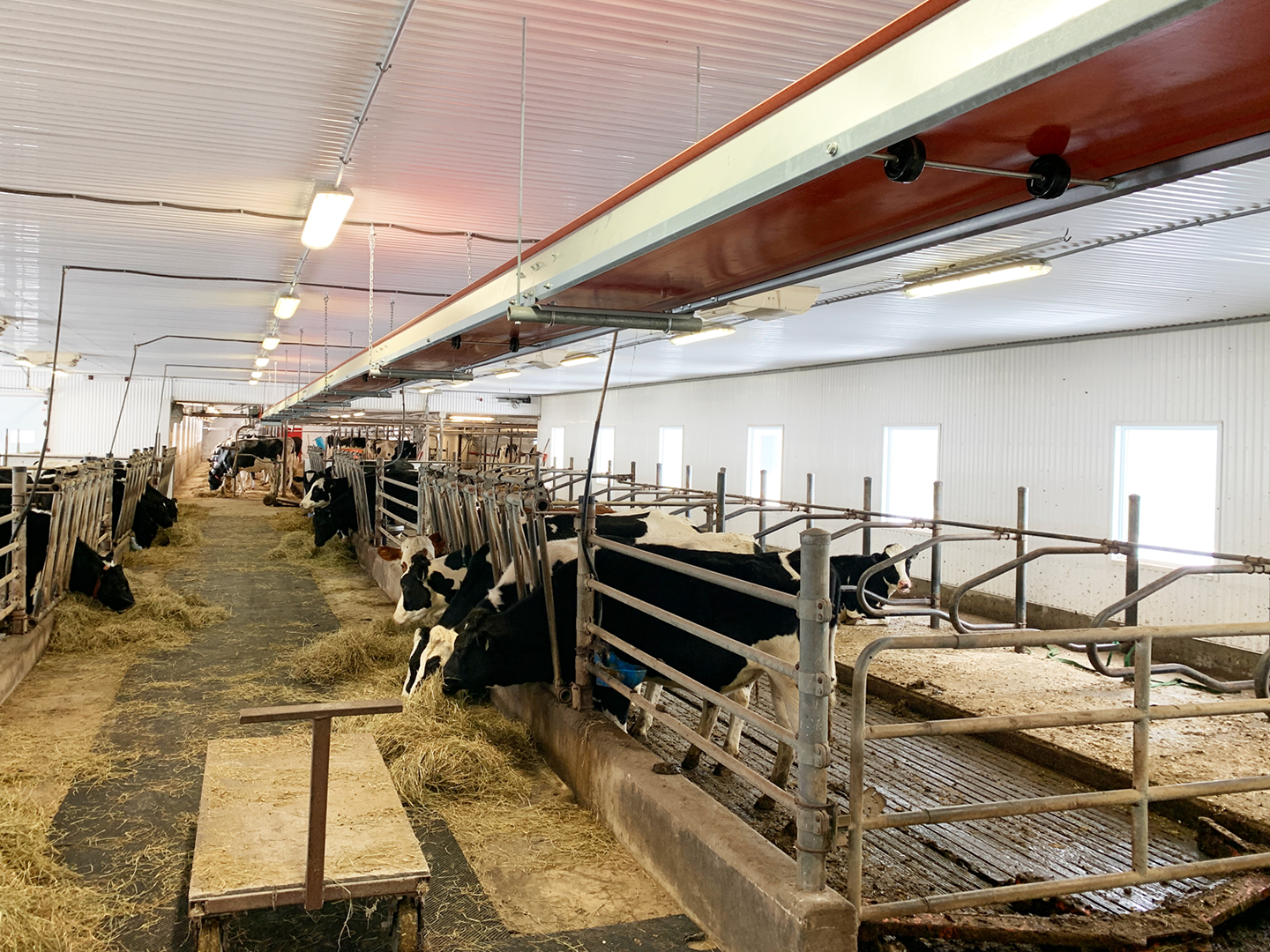Ferme Amilait : le pari intelligent d’une petite ferme