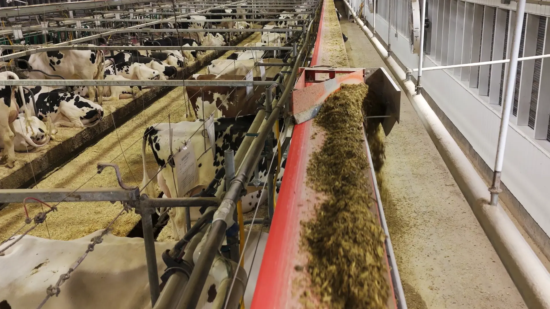 A seamless transition with no operational downtime