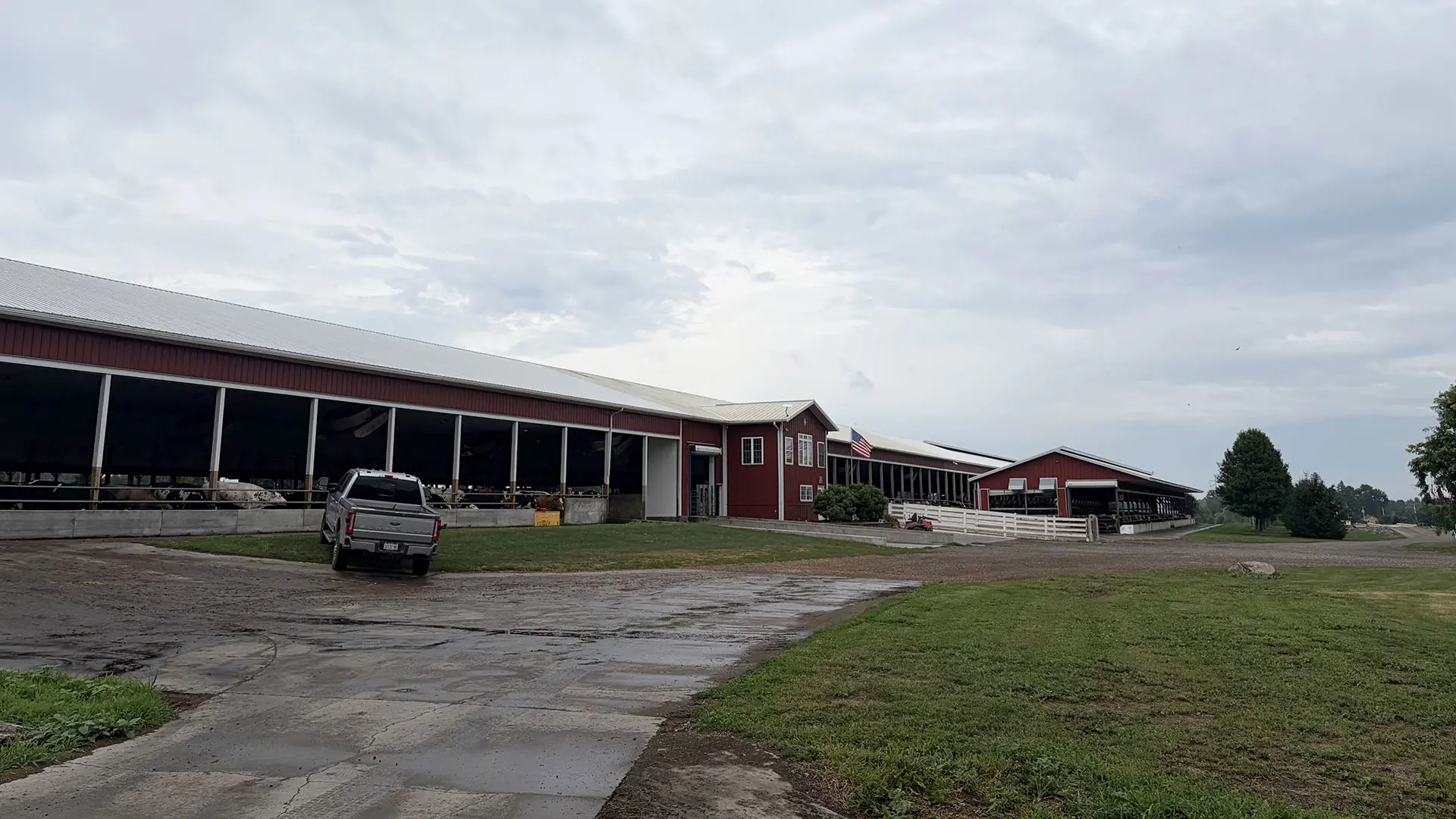 Des convoyeurs Valmetal au cœur du système d’alimentation de MMT Cattle